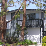 1431 Stanford